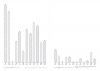 Sasa_Annual_Report_2012_inside