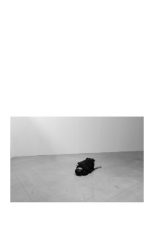 Dimensions_Variable_11
